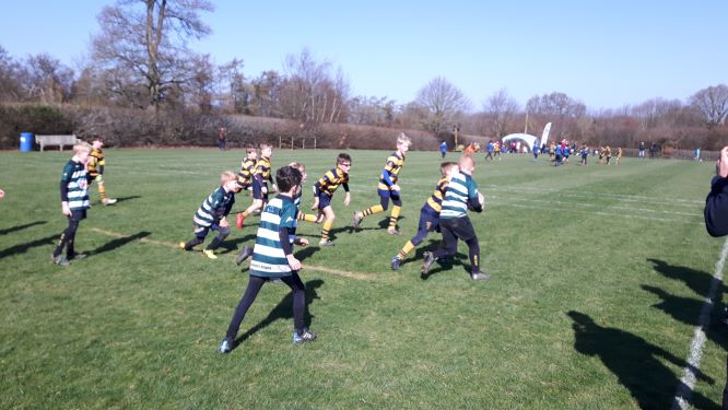 U9s @ Kent Festival - 24th March 2019 Cover Photo - Ash Rugby Club